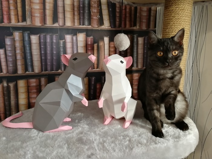 Paper modeling. - My, Pepakura, Papercraft, , Low poly, Paper, cat, Rat