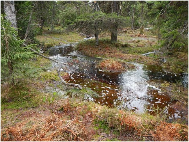 One May weekend on Mount Oslyanka (May 2016) - My, Hike, Tourism, Oslyanka, Middle Ural, Ural mountains, , Longpost