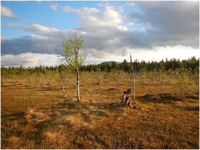 One May weekend on Mount Oslyanka (May 2016) - My, Hike, Tourism, Oslyanka, Middle Ural, Ural mountains, , Longpost