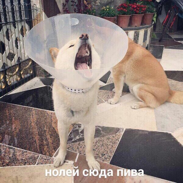 ������-��������