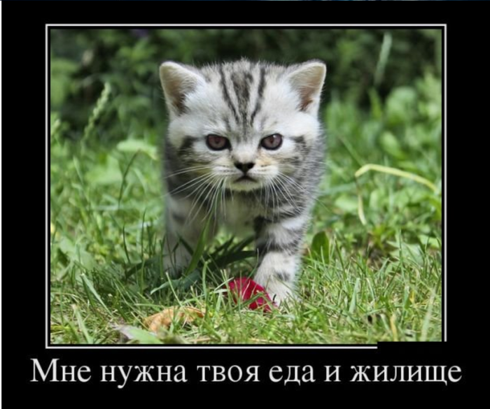 Идея для "стартапа".