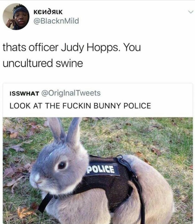LOOK AT THAT FUCKING POLICE BUBBLE - It's Officer Judy Hopps, you uncivilized pig. - Milota, Zootopia, Police, Humor, Comments, Twitter, Screenshot, Rabbit