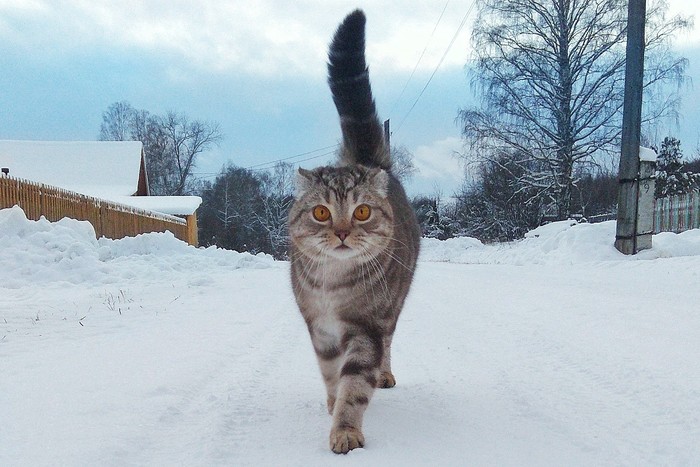 ������ �������� �� �����