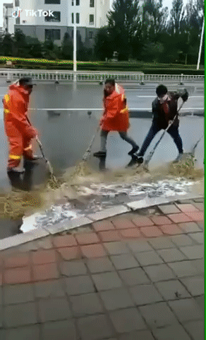 Wet street cleaning - GIF, Water, Street cleaner, Broom, Asians