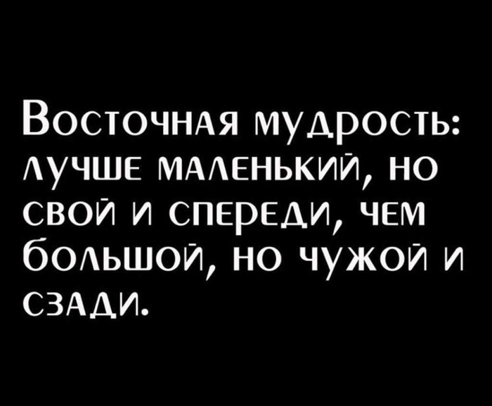 Мудрость - Мудрость, Юмор, Плохой юмор, Скриншот