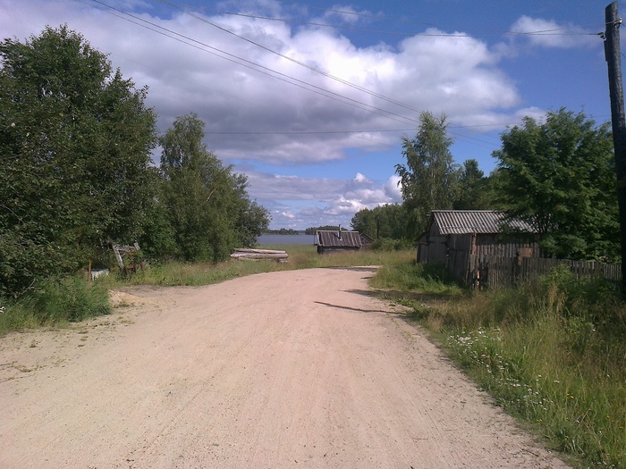 Перепили пиво и писают в кустах порно — img 1