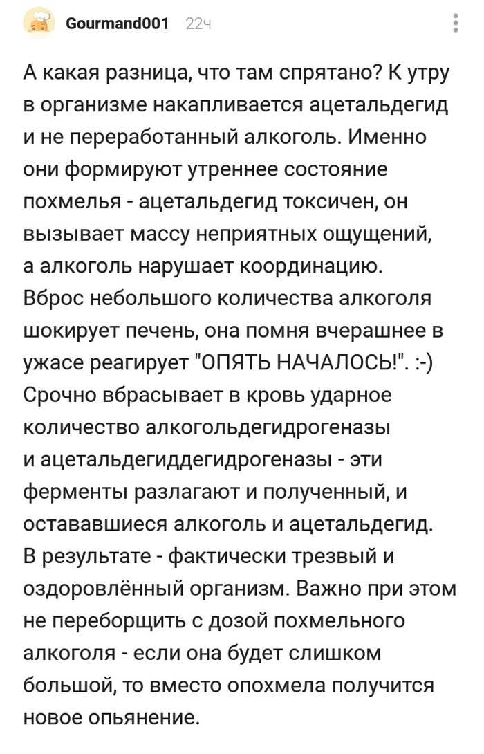 Как подготовиться к 1 январю - Комментарии на Пикабу, Новый Год, 1 января, Похмелье, Длиннопост, Скриншот