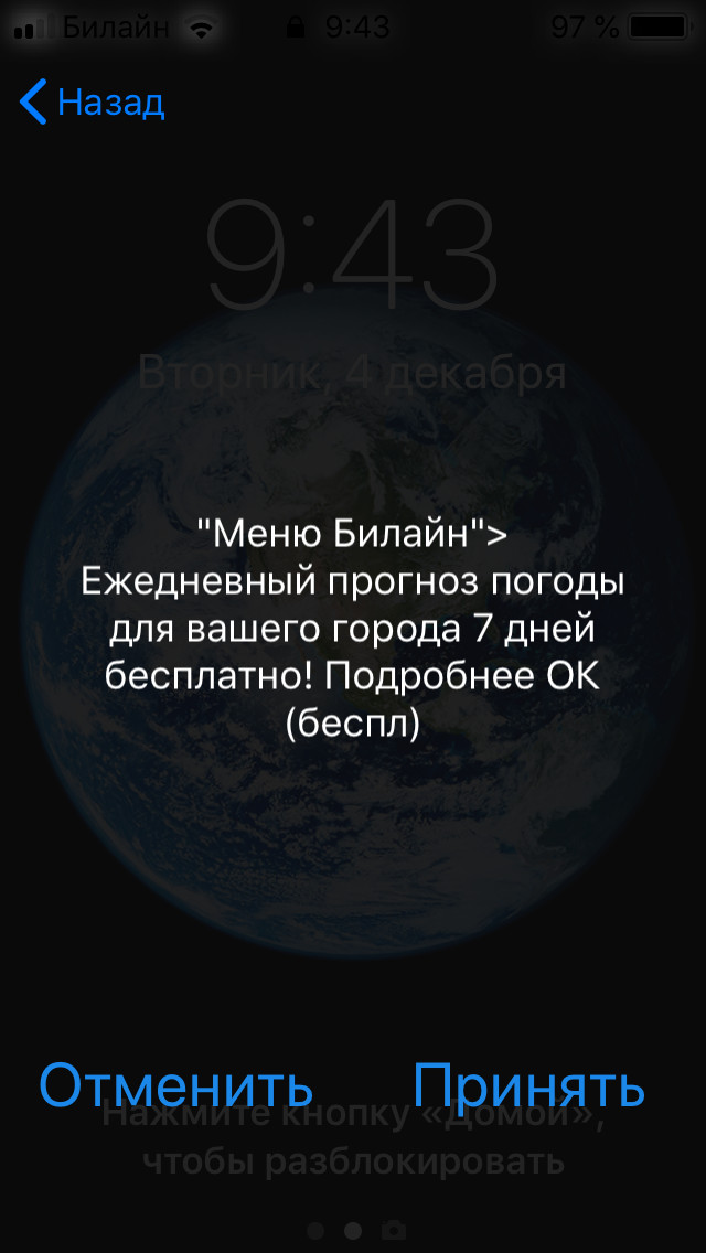 Развод от «Пчелайн» - Сотовые операторы, Билайн, Развод на деньги, Мошенничество