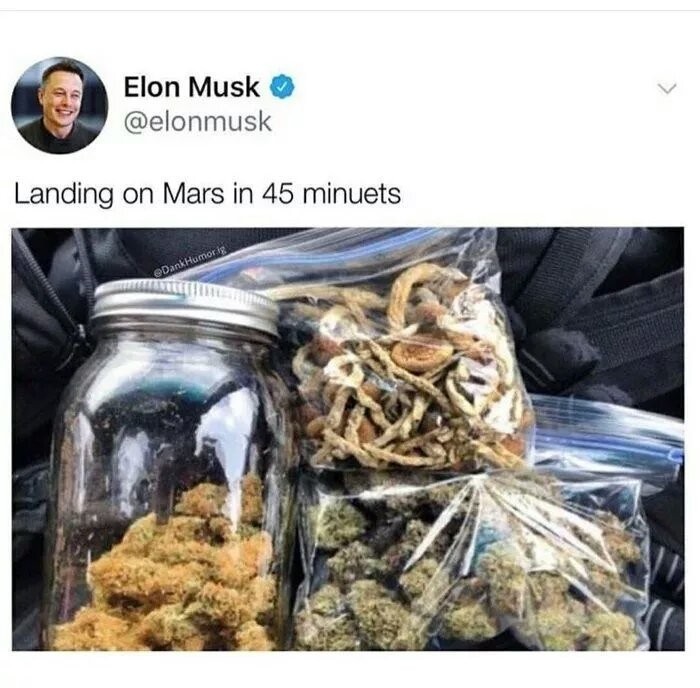 Elon Musk - Elon Musk, Mars