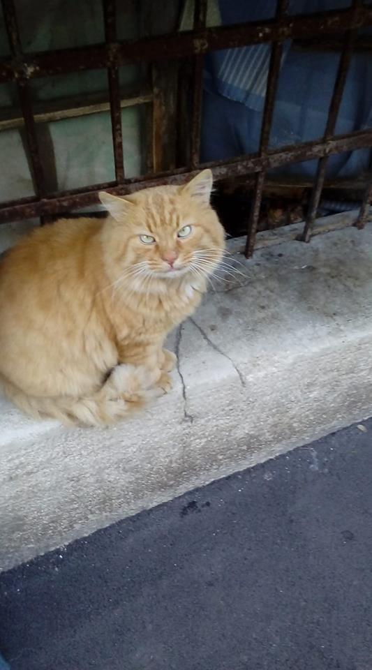 Иди, женщина.