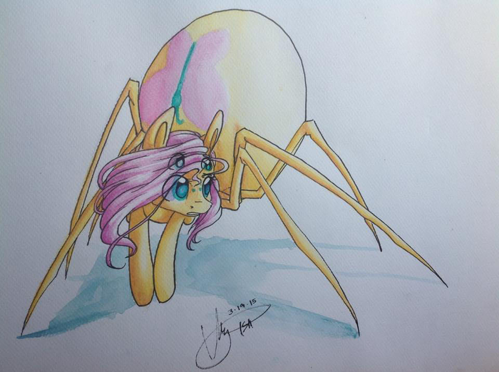 Little Spidershy My Little Pony, Fluttershy, Spiderpony, 