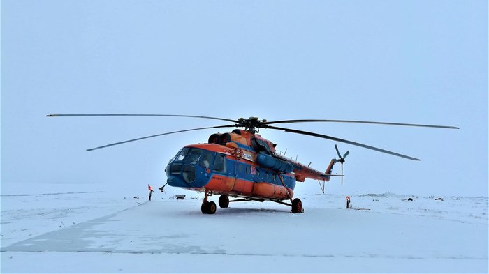 And ice-bound Taimyr - My, North, Kara Sea, Krasnoyarsk region, Tundra, Nenets, Deer, Longpost, Deer