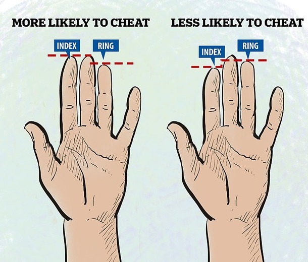 Scientists have figured out how to figure out an unfaithful wife on the fingers - Treason, Research, Longpost