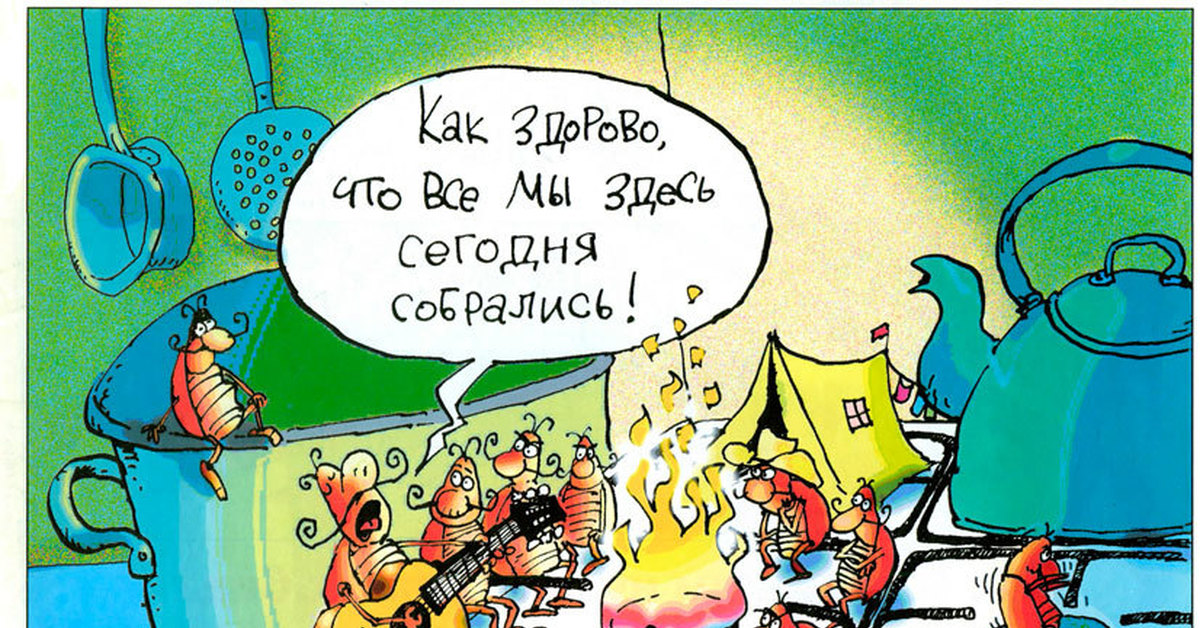 Мы здесь. Карикатура солнышко Лесное. Тараканы поют на кухне. Тараканы барды. Как здорово что все мы здесь сегодня собрались.