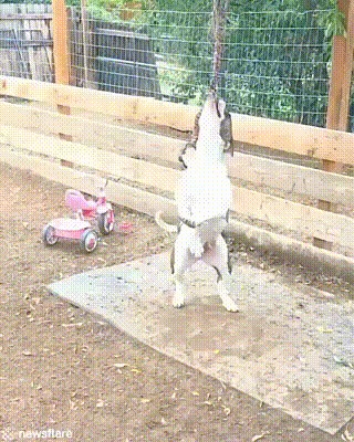 Давай помогу