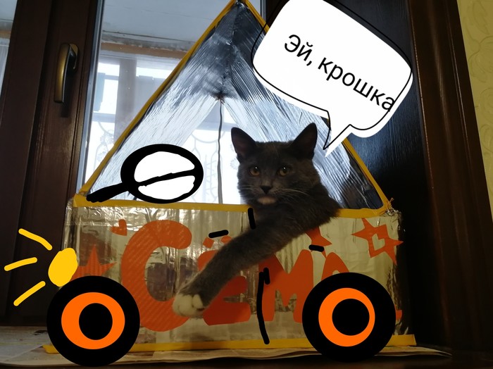 Котодом - Моё, Кот, Котомафия, Кот Семен, Кот Сёма, Кошкин дом, Длиннопост, Домик для питомца