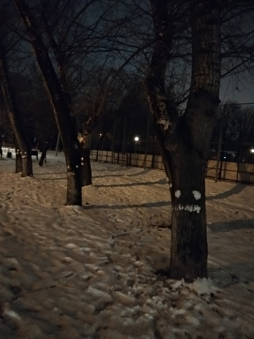 Did you go to that park, kid? - Winter, , Tree, Snow, Evening, The park, Alley