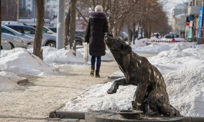 Памятник бездомной собаке в Екатеринбурге - Екатеринбург, Идея, Памятник, Собака, Россия, Фотография