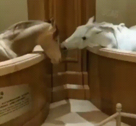 Эй,ребята,а как же я?