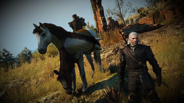 -  3:  , The Witcher 3:Wild Hunt, 