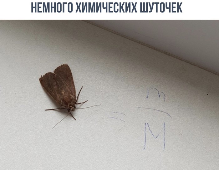 Moth - Chemistry, Moth, Humor, In contact with