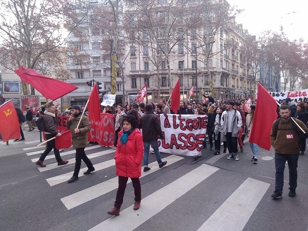 Vive la France - Demonstration, France, Socialism, the USSR, The photo, Lyon, Longpost