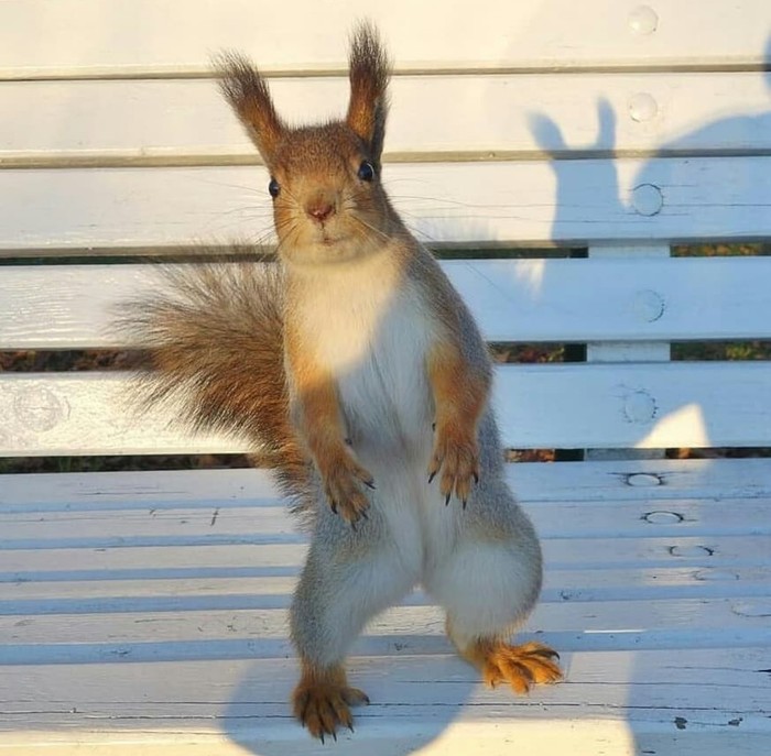   !