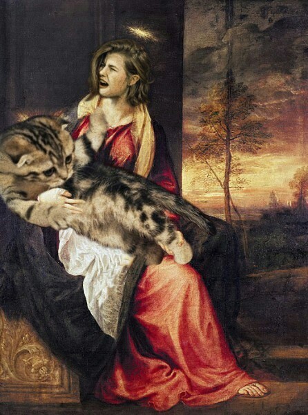 "Фото, где меня царапает кот, напоминает картину эпохи Возрождения" Кот, Фотошоп мастер, Возрождение