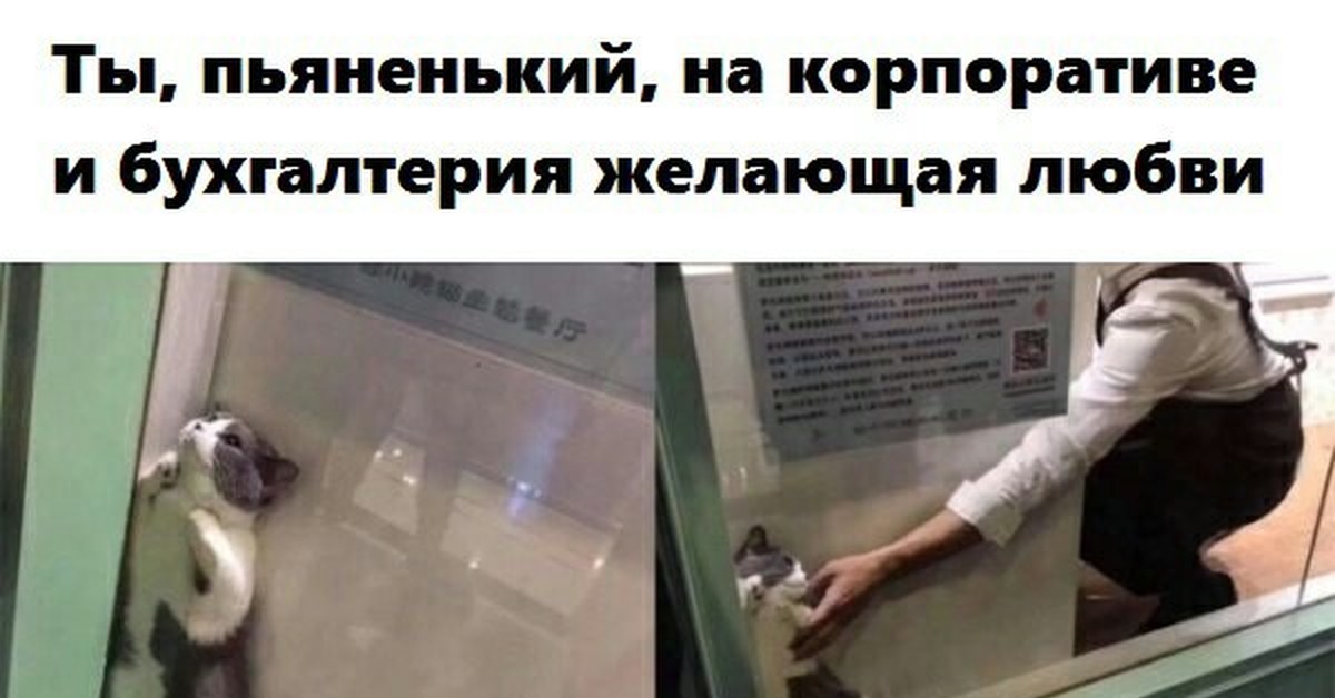 Прикольные картинки после корпоратива