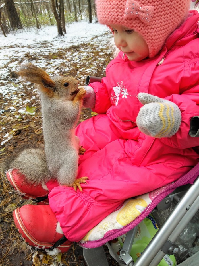 Let's get to know each other - My, The photo, Squirrel, Novosibirsk, Children