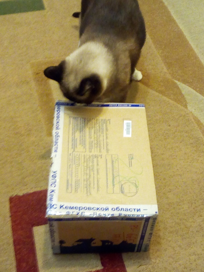           ,  ,  , 
