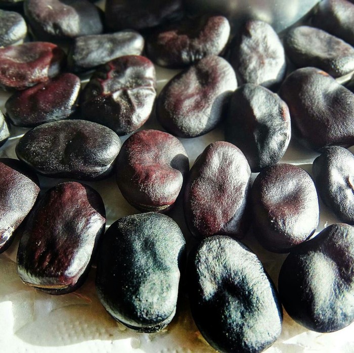 Where to find Black beans in Moscow? - Cooking, Beans, My, Purchase