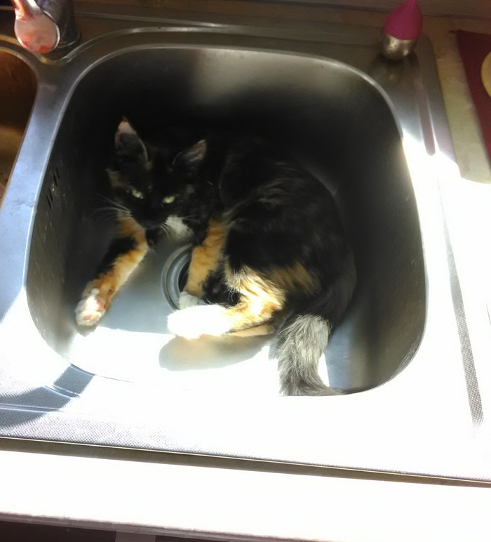 Отдых - святое