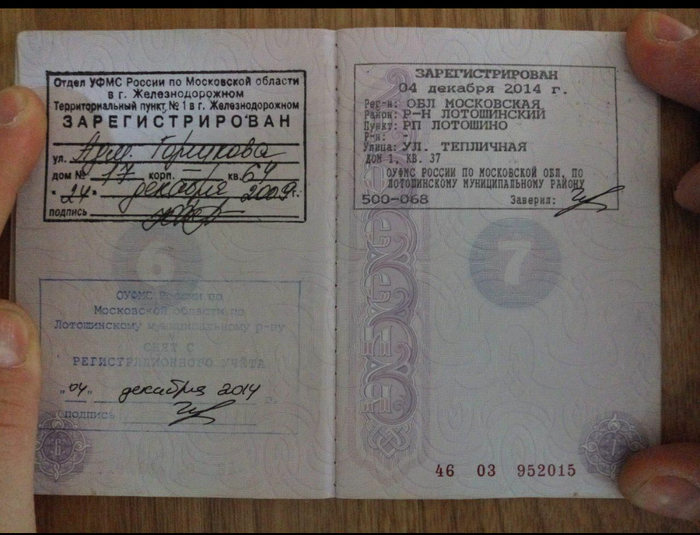 Мошенники на авито | Общество | Селдон Новости