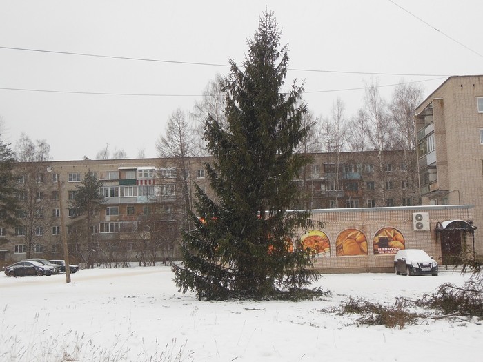 Leaning tower of pisa - My, Humor, Christmas tree, Rukozhop, Leaning tower of pisa, Borovichi, Velikiy Novgorod