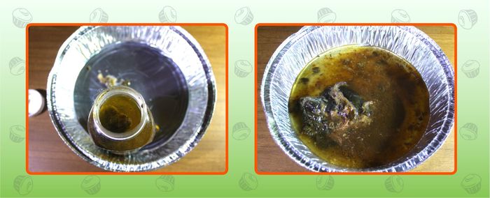 рыба тоже любит пепси колу. Смотреть фото рыба тоже любит пепси колу. Смотреть картинку рыба тоже любит пепси колу. Картинка про рыба тоже любит пепси колу. Фото рыба тоже любит пепси колу рыба тоже любит пепси колу. Смотреть фото рыба тоже любит пепси колу. Смотреть картинку рыба тоже любит пепси колу. Картинка про рыба тоже любит пепси колу. Фото рыба тоже любит пепси колу