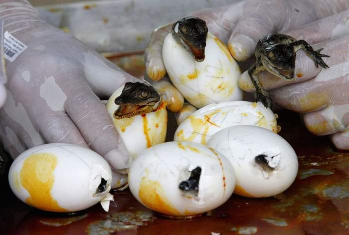 Кто откладывает, а кто несет