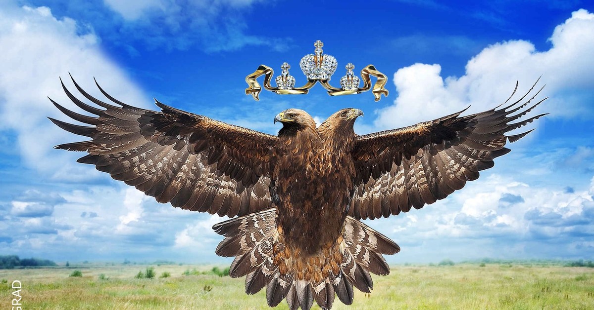 Орел россии фото