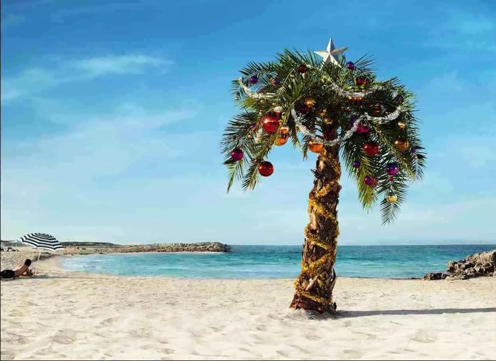 Christmas tree in Africa - Christmas tree, Africa, New Year, Beach
