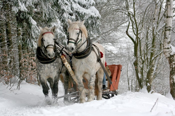 Happy New Year! - Father Frost, Winter, New Year