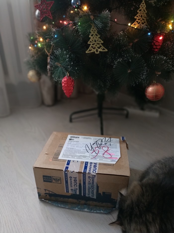 With love from Vladivostok - Secret Santa, My, Gift exchange report, Longpost, Gift exchange, New Year