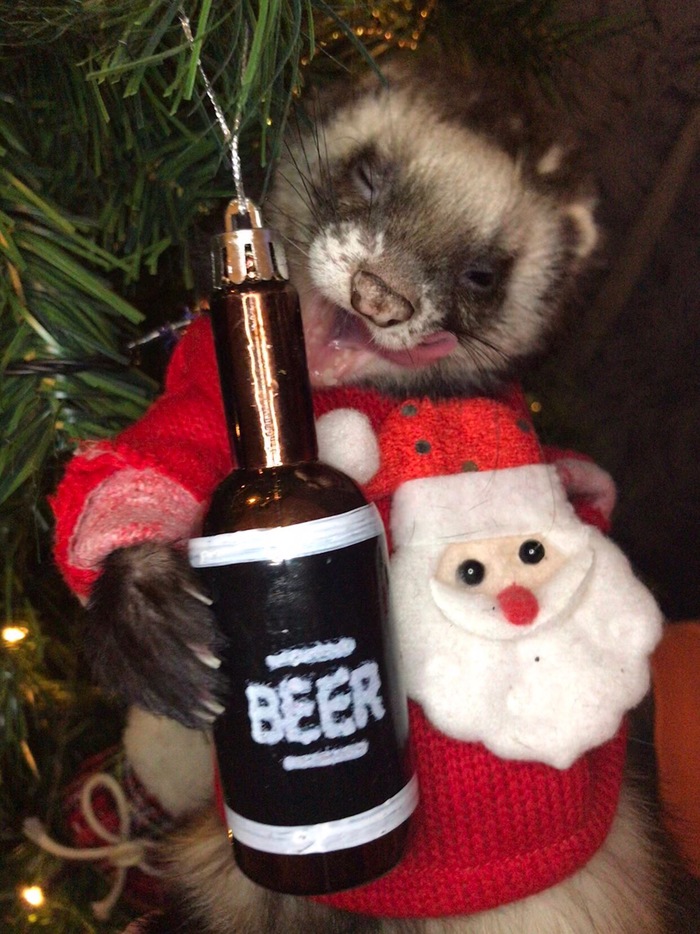 � ����� �����, ��������!