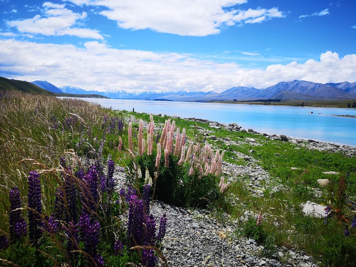 New Zealand. - My, New Zealand, The photo, Lake, Nature, beauty of nature, Travels, Trip