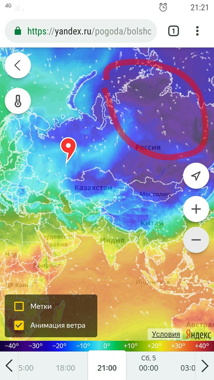 Животное атакует. Дубль два... - Моё, Медведи, Скриншот, Погода, Зима