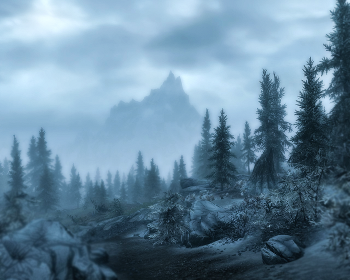 View of Bleak Falls Barrow - Skyrim
