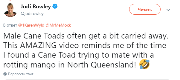 Biologists explain to naive social media users why toads ride pythons - Video, Australia, Longpost, Python, Toad