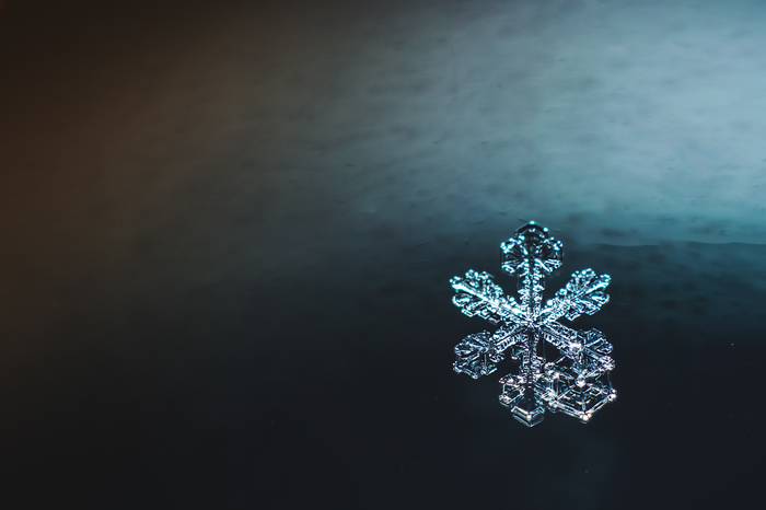 Snowflakes. - My, Snowflake, Macro, Nikon d5300, Nikkor 50mm, Macro photography