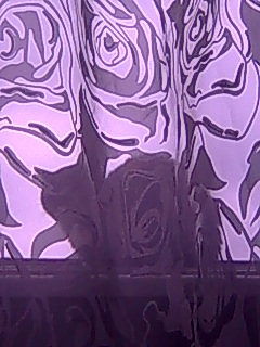 Вечер. Окно. Кошка.