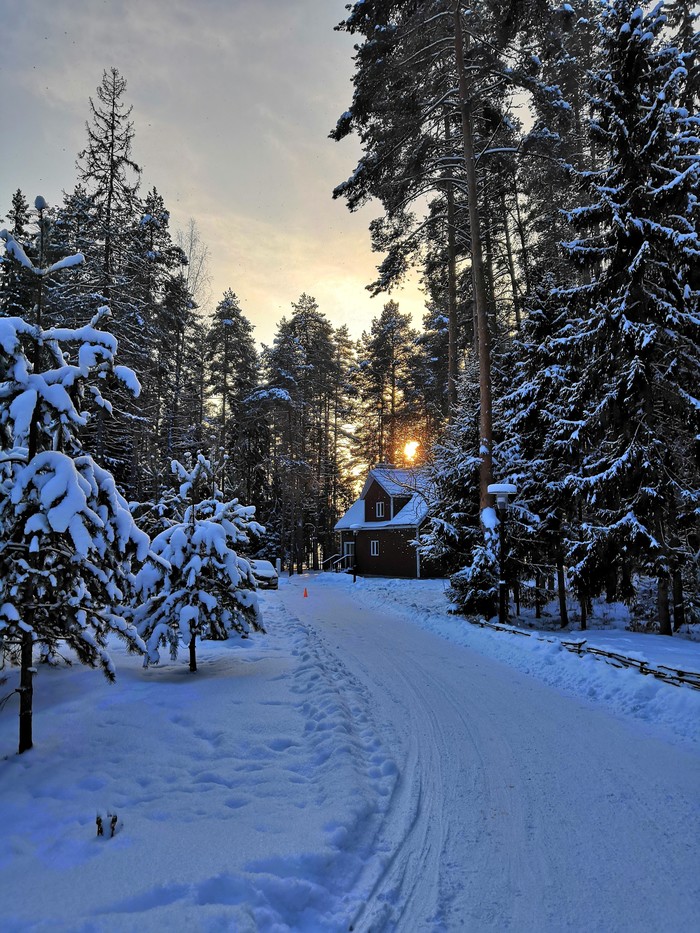 Winter evening on the Volga - Winter, My, The photo