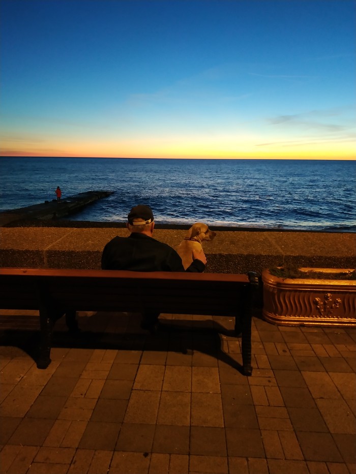 Faithful friend and the sea... - Sea, Dog, Friend, Sunset